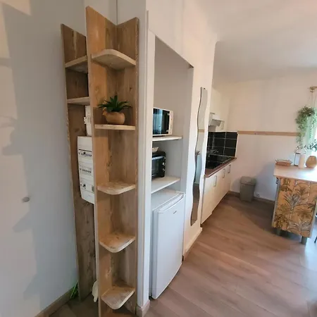 Joli T2 A Giens Apartmán *