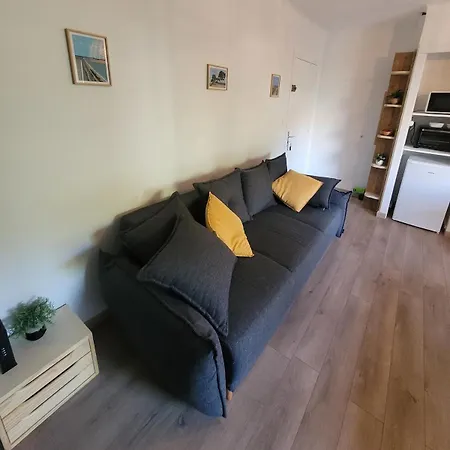 Joli T2 A Giens Apartment