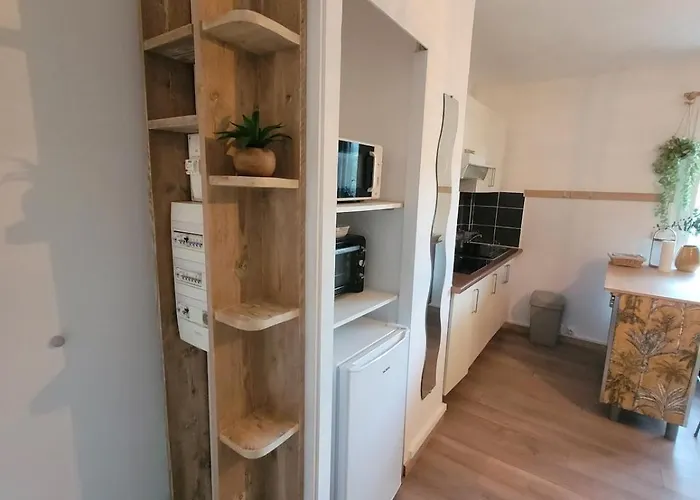 Joli T2 à Giens Appartamento *