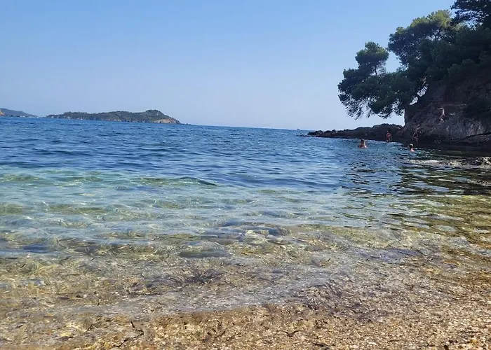 Joli T2 à Giens Appartamento Hyères