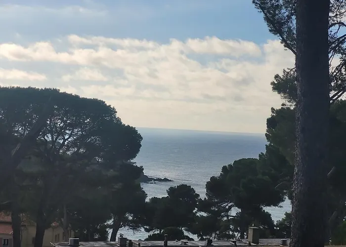 Joli T2 à Giens Hyères