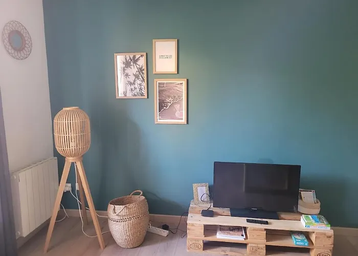 Διαμέρισμα Joli T2 A Giens Ιέρ